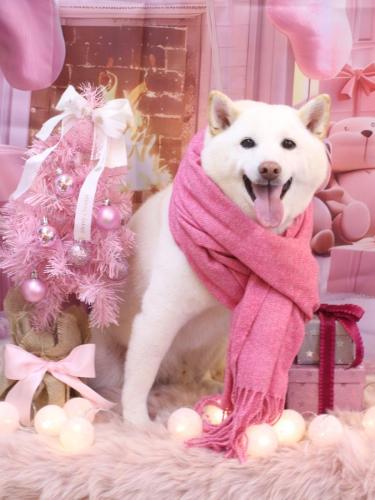 20241212タローくん